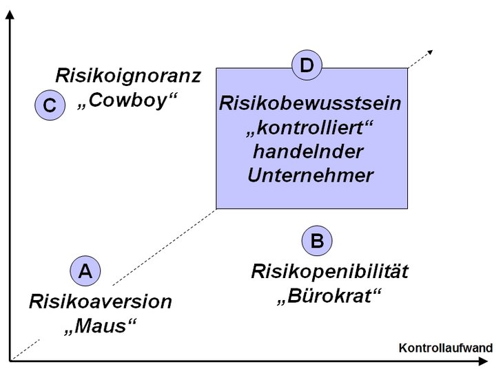 Ideal typical risk typology